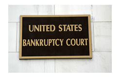 federal court bankruptcy options